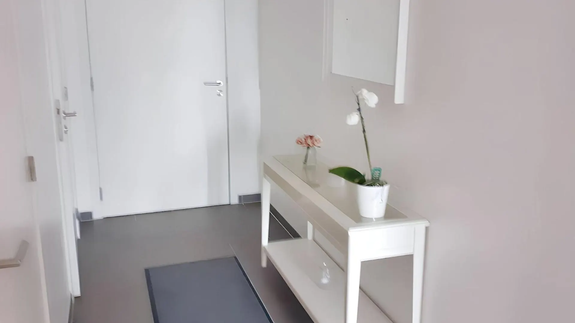 Modern Apartment In Cureghem Anderlecht 134 M² + Terrace Brussels
